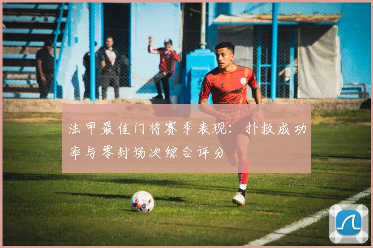 法甲最佳门将赛季表现：扑救成功率与零封场次综合评分