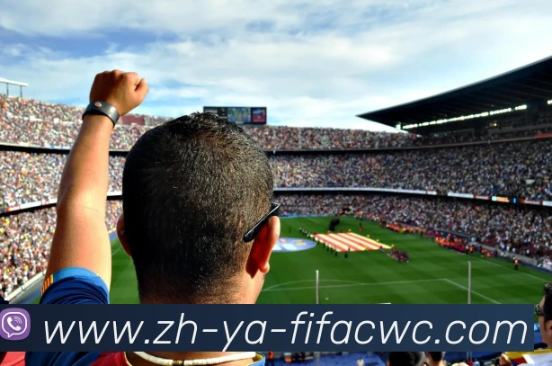 世界杯在线观看平台生态图