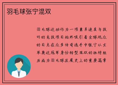 羽毛球张宁混双